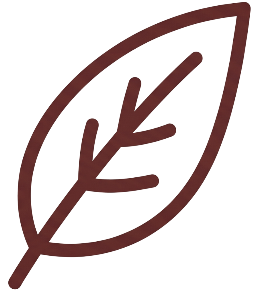 Icon 3